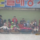 정무태권도 이미지