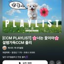윌플리