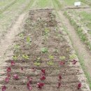 튼튼이농장 이미지