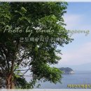 백송민박 이미지