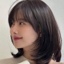 수진2호 이미지