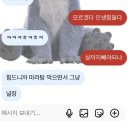 홍성컴퓨터학원 | 술요미