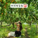 새각단 이미지
