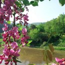 아카시아펜션 이미지