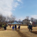 용인대 예당 태권도장 이미지