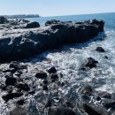 정이든해물 이미지