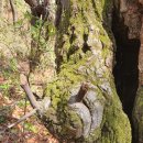 전첨 류세구묘역 이미지