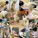 프렌즈포유 | 좋은 실내 동물원 테이블에이 32개월 아이와 다녀온 후기! | 파주 아이와 갈만한 곳, 파주놀거리 추천!