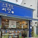 무지개 세탁소 | 익산 독립 서점 그림 책방 씨앗 아이랑 가기 좋은 도서관