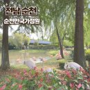 순천 아기랑 갈만한곳) 순천만국가정원 어린이동물원 물새놀이터 순천만습지 다녀온 후기!