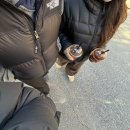 목경 | 학생생활_끝 최종최최최수종