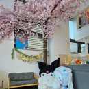 충북중앙키즈