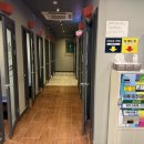 사이다 코인노래연습장 이미지