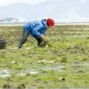 고금면-4 이미지