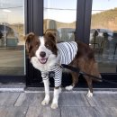 어거스트원 이미지