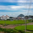 상주한려해상체육공원(천연잔디) 이미지