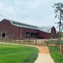 전진목장 이미지