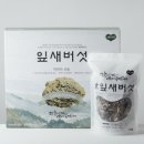 일품잎새버섯