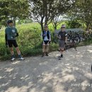 7월 12일(일)낙산, 심천, 백운임도 후기 이미지