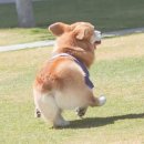 오오오오오