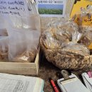 메밀꽃피면 이미지