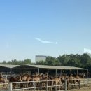 하나래농장 이미지