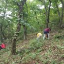 품실채마을 이미지