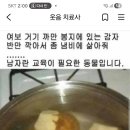하여간😂😂😂 이미지