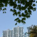 천천 공인중개사사무소 이미지