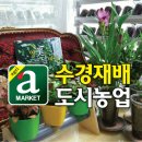 손웅농장 이미지