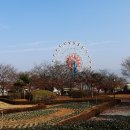 기차마을 증기기관차 이미지