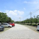 청라 노을공원 스케이트플라자 | 가족 나들이 가기 좋은 근린공원 인천 가볼만한곳 인천환경공단청라생태공원, 노을공원