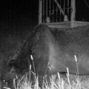 재림목장 이미지