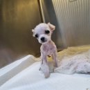 성지산공원 이미지