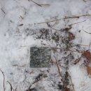 초정주유소 이미지