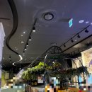 수지성복SL동물병원 | 용인 수지롯데몰 타이니키즈파크 키즈카페 시설/ 가격