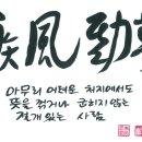 질풍경초