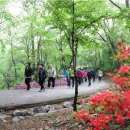 산사랑 이미지