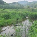 동산면사무소 이미지