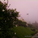 거문초등학교 이미지