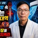 체온 조절 능력 범위가 점차 좁아지면서 혈관 뇌 장 신장에 생기는 만성 염증. 폭염 열대야 냉방이 체온조절능력을 훼손시킨다. 이미지