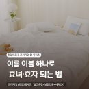 한일이불 - 남구 수영로219번길 39 | 한일의료기 프리미엄 스노우쿨 냉감 베개커버·패드·이불 솔직 후기