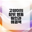 창문동물병원 이미지