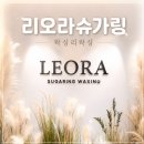 리오라 | 왕십리왁싱 리오라슈가링 브라질리언 관리 솔직후기