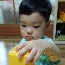 꿈땅어린이집 이미지