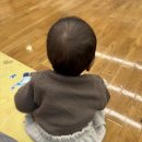 까미농장 | 천안 신세계 아기 문화센터, 리틀자이언트 수업 기록 (7개월 아기 문센 후기)