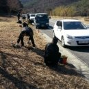 용면사무소 이미지