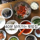 내남 | 경주 내남 용산회식당 🐟 아침부터 줄서는 횟밥 맛집 후기