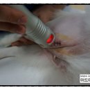 미드미 동물의료센터 이미지