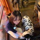 종로-종로-종로-종-115 이미지